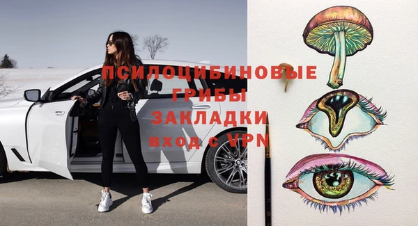 гашик Балахна