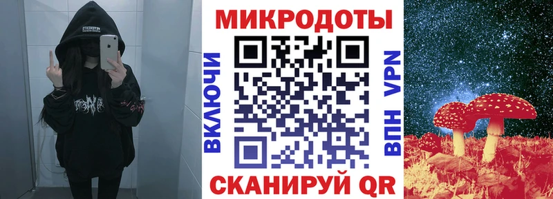 Купить закладки  Гагарин  Галлюциногенные грибы Cubensis 